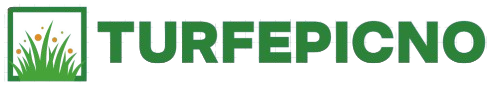 TurfEpicNo